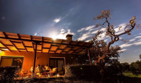 My Thassian Villa